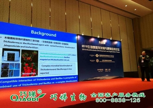 www.hnqdsw.com www.hnqdsw.com